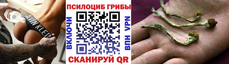 Псилоцибиновые грибы мухоморы  Обнинск 